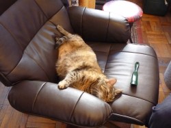 Relaxation elevated to an art