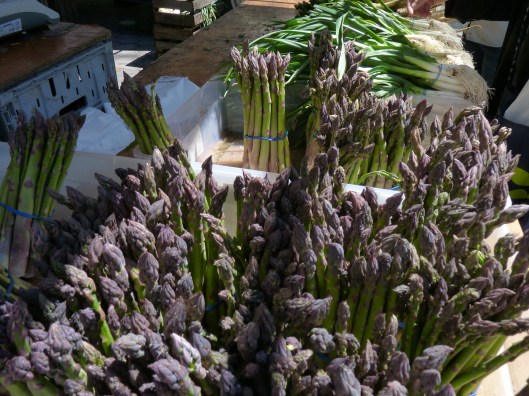 Asparagus has arrived.  All photos by Julie Seyler.