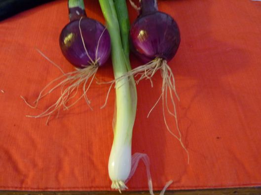 The Weiner: 2 red onions and a scallion