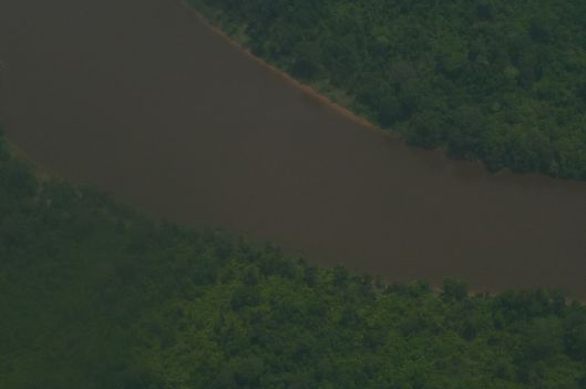 View of Tanjung Puting Park from plane.