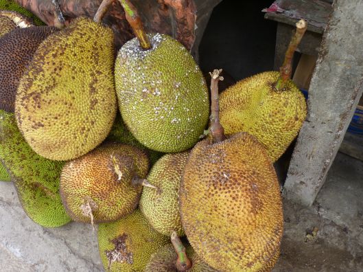 Jackfruit