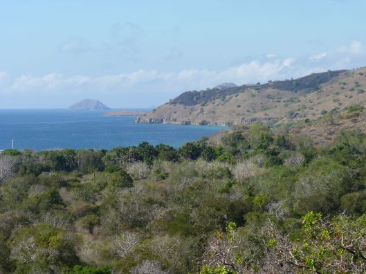 Komodo Island walk