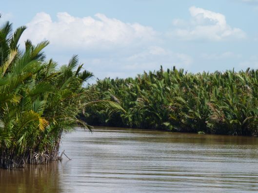 The Sekonyer River. Kalimantan.