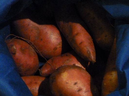 Sweet potatoes