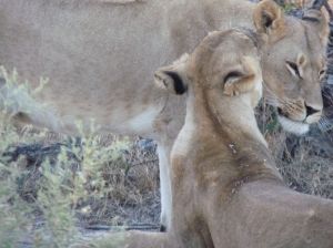 a mother and her baby