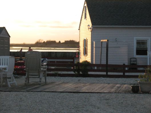 summer contemplation