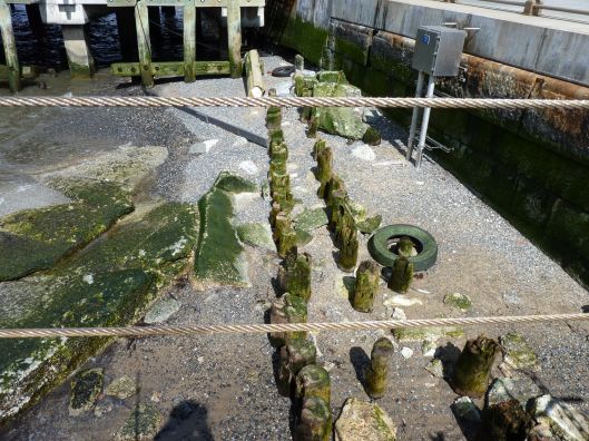 Dry pilings on the West Side Highway.