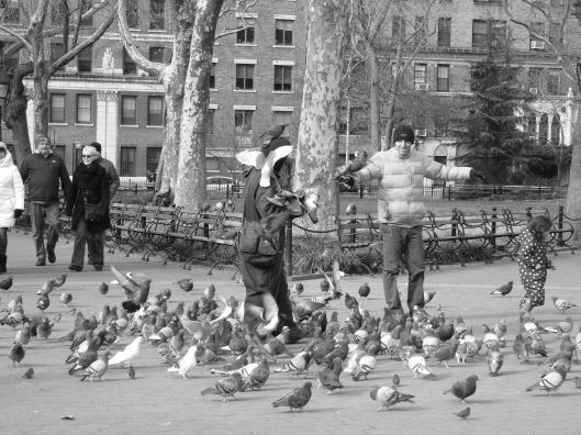pigeon man 3