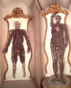 The Anatomical Machines