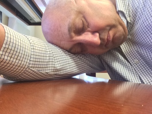 Catching a few zzz's midday