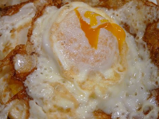 Brick Farm Market. Hopewell, N.J.