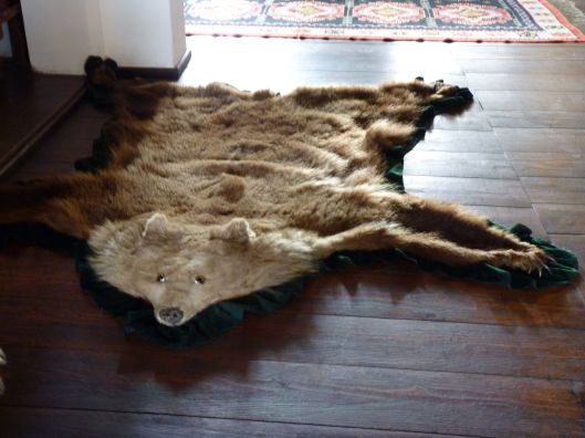 Bear rug. Bran Castle