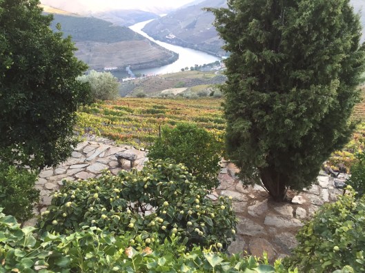 View from terrace of hotel in Casal de Loivois in the Alto Douro