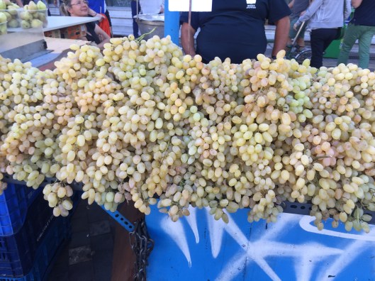 Grapes. Greece.